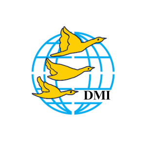 DMI school logo